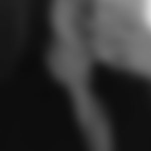 rencontre-Cougar-Le Puy-en-Velay